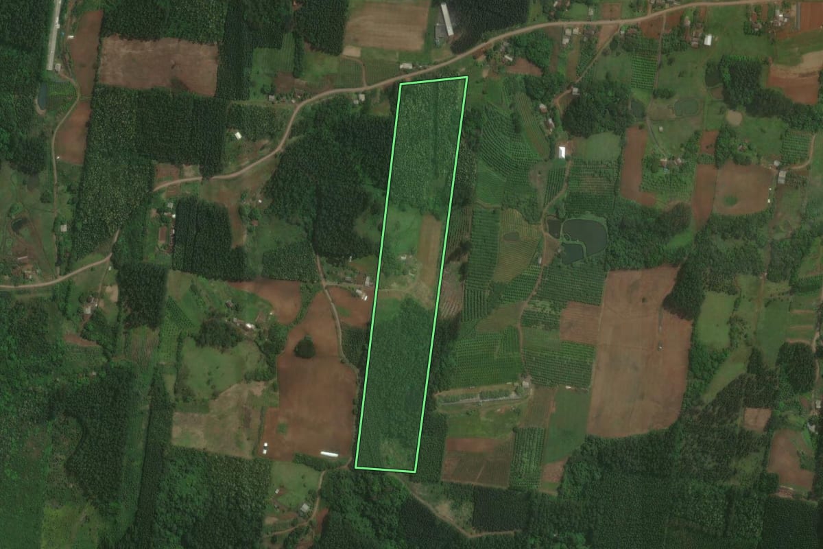 Imagem de satélite do imóvel rural em Brochier (RS), com o contorno declarado no CAR desenhado por cima.