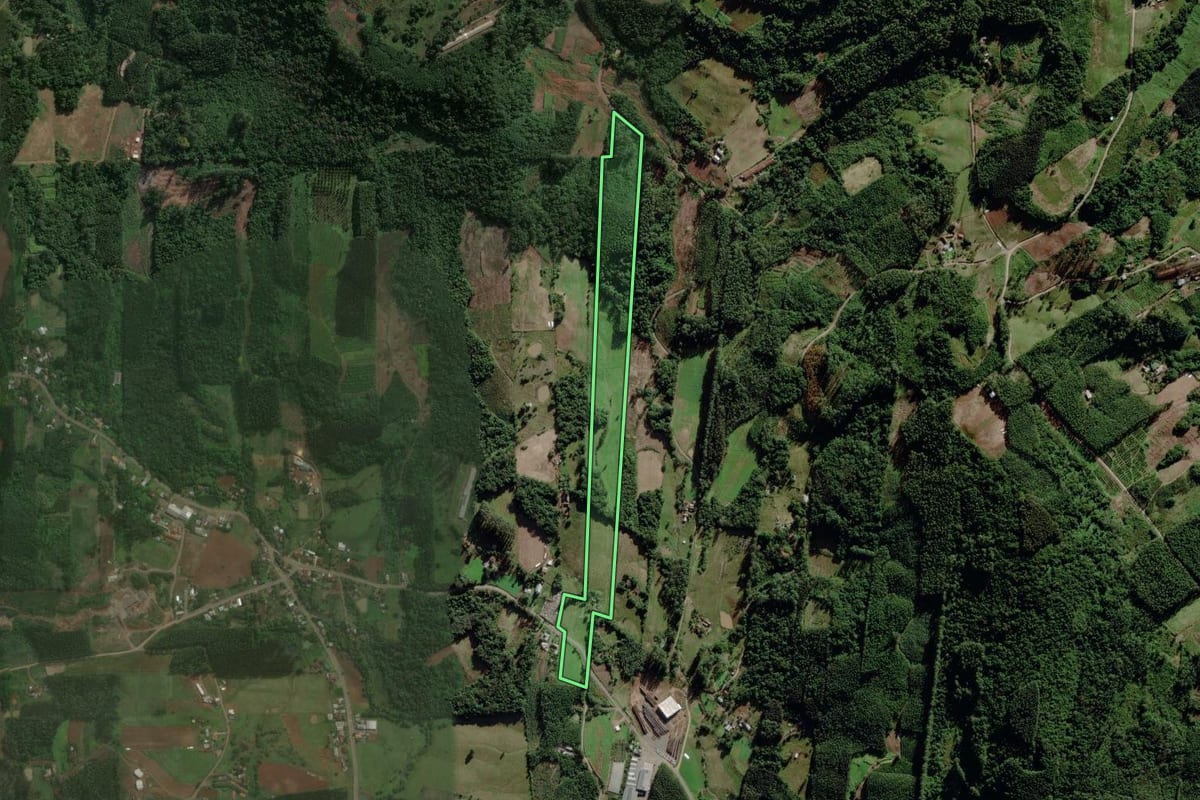Imagem de satélite do imóvel rural em Brochier (RS), com o contorno declarado no CAR desenhado por cima.