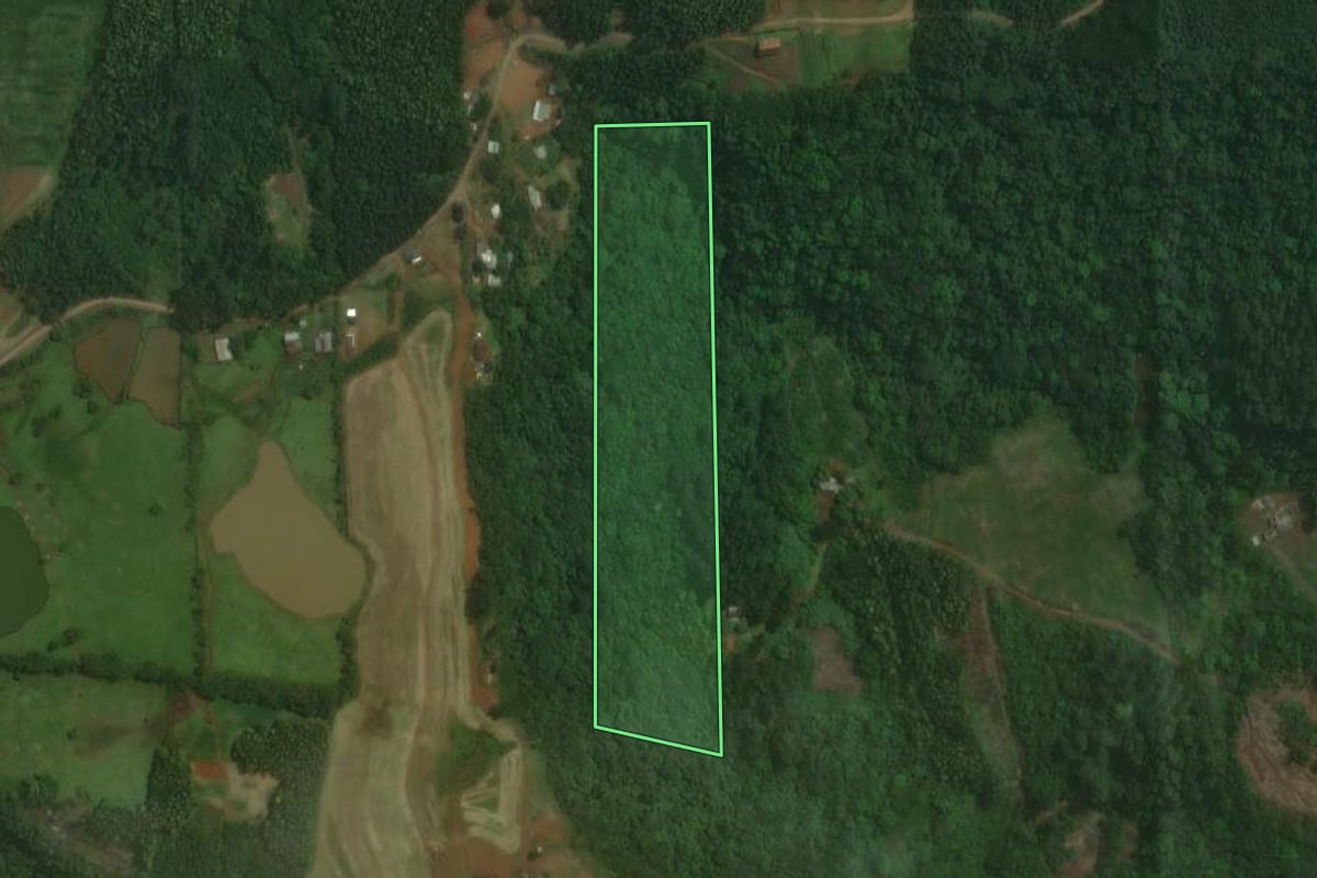 Imagem de satélite do imóvel rural em Brochier (RS), com o contorno declarado no CAR desenhado por cima.
