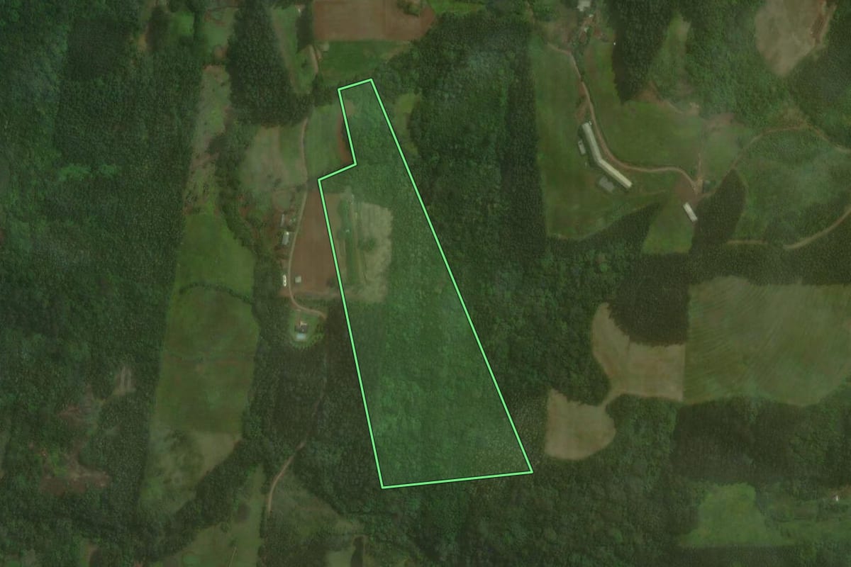 Imagem de satélite do imóvel rural em Brochier (RS), com o contorno declarado no CAR desenhado por cima.