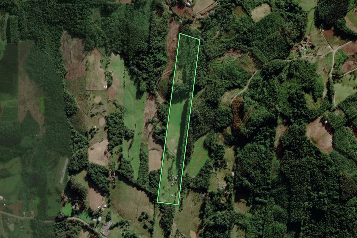 Imagem de satélite do imóvel rural em Brochier (RS), com o contorno declarado no CAR desenhado por cima.