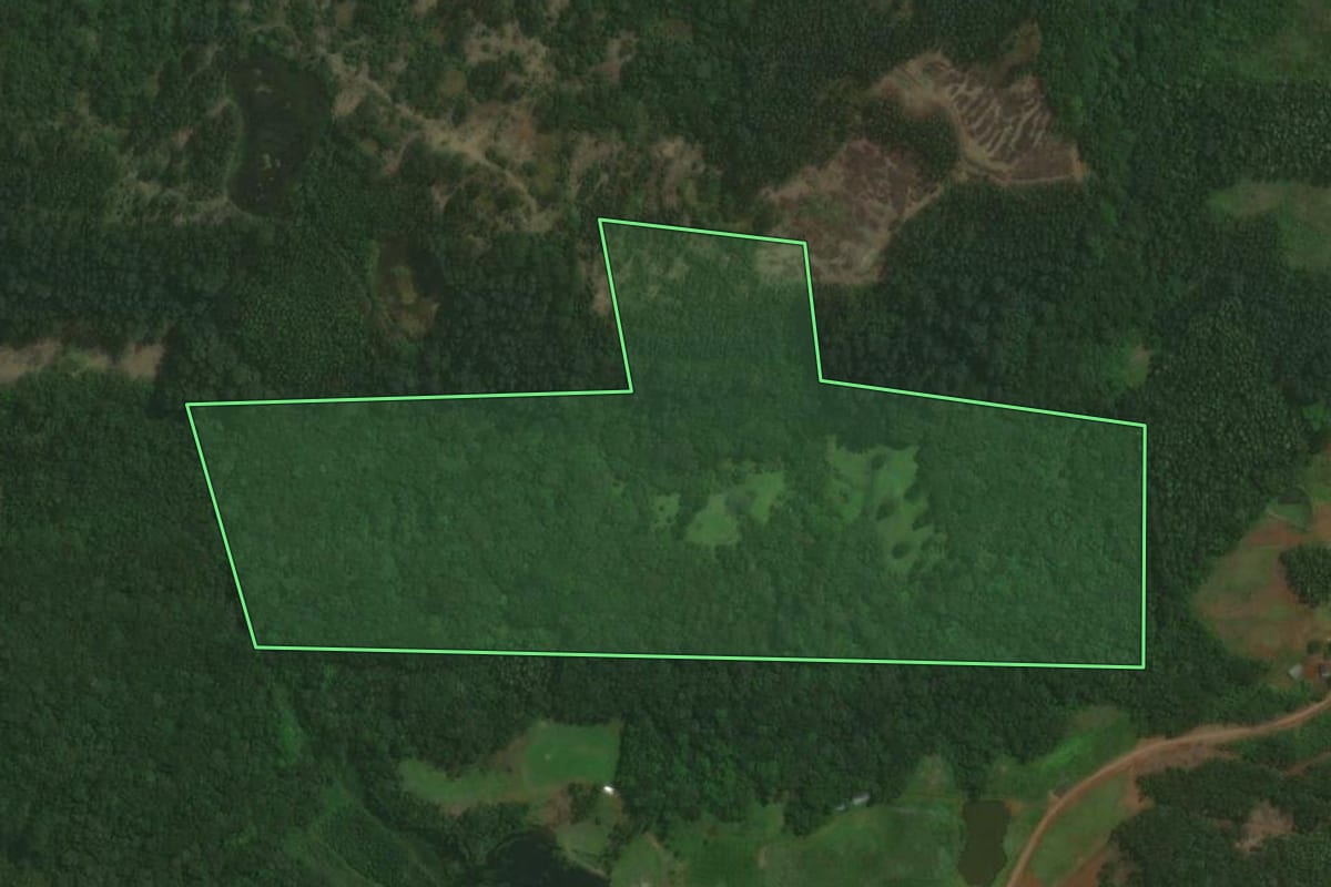 Imagem de satélite do imóvel rural em Brochier (RS), com o contorno declarado no CAR desenhado por cima.