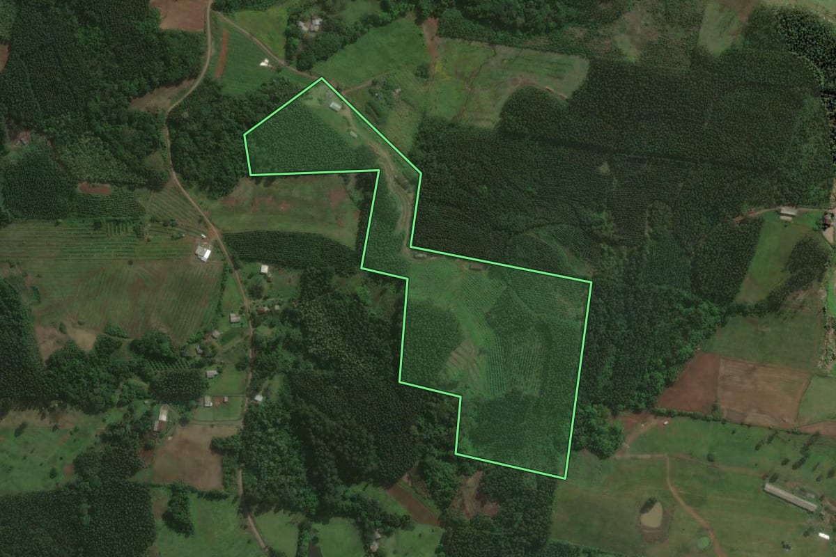 Imagem de satélite do imóvel rural em Brochier (RS), com o contorno declarado no CAR desenhado por cima.