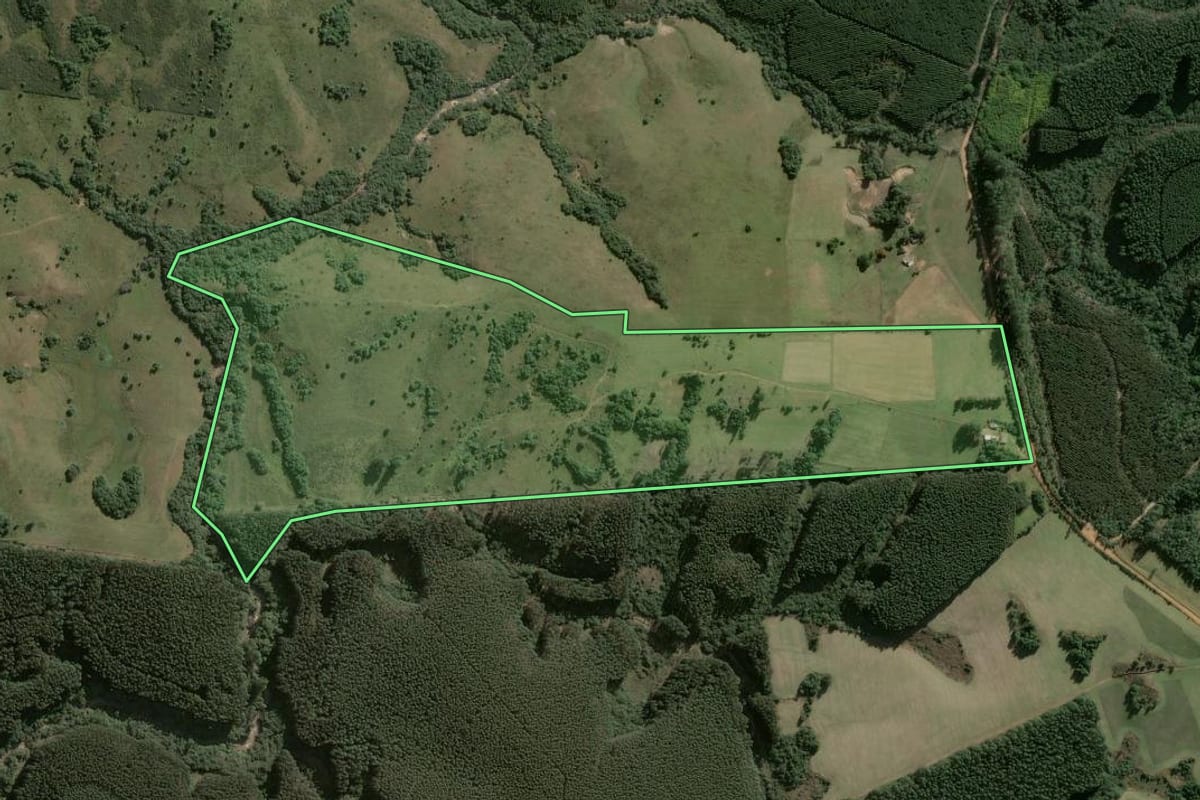 Imagem de satélite do imóvel rural em Butiá (RS), com o contorno declarado no CAR desenhado por cima.