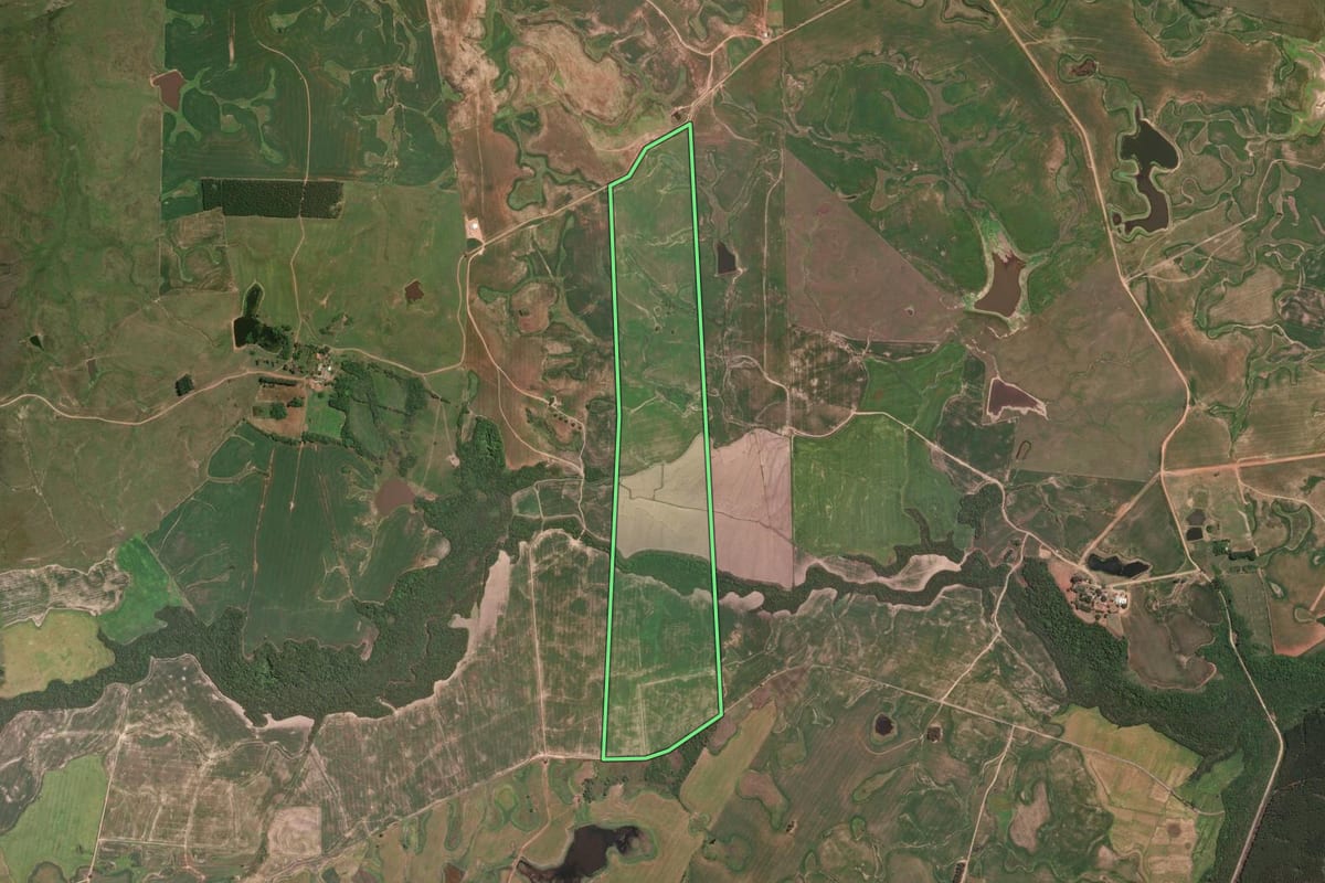 Imagem de satélite do imóvel rural em Butiá (RS), com o contorno declarado no CAR desenhado por cima.