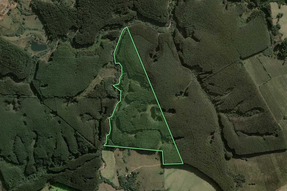 Imagem de satélite do imóvel rural em Butiá (RS), com o contorno declarado no CAR desenhado por cima.