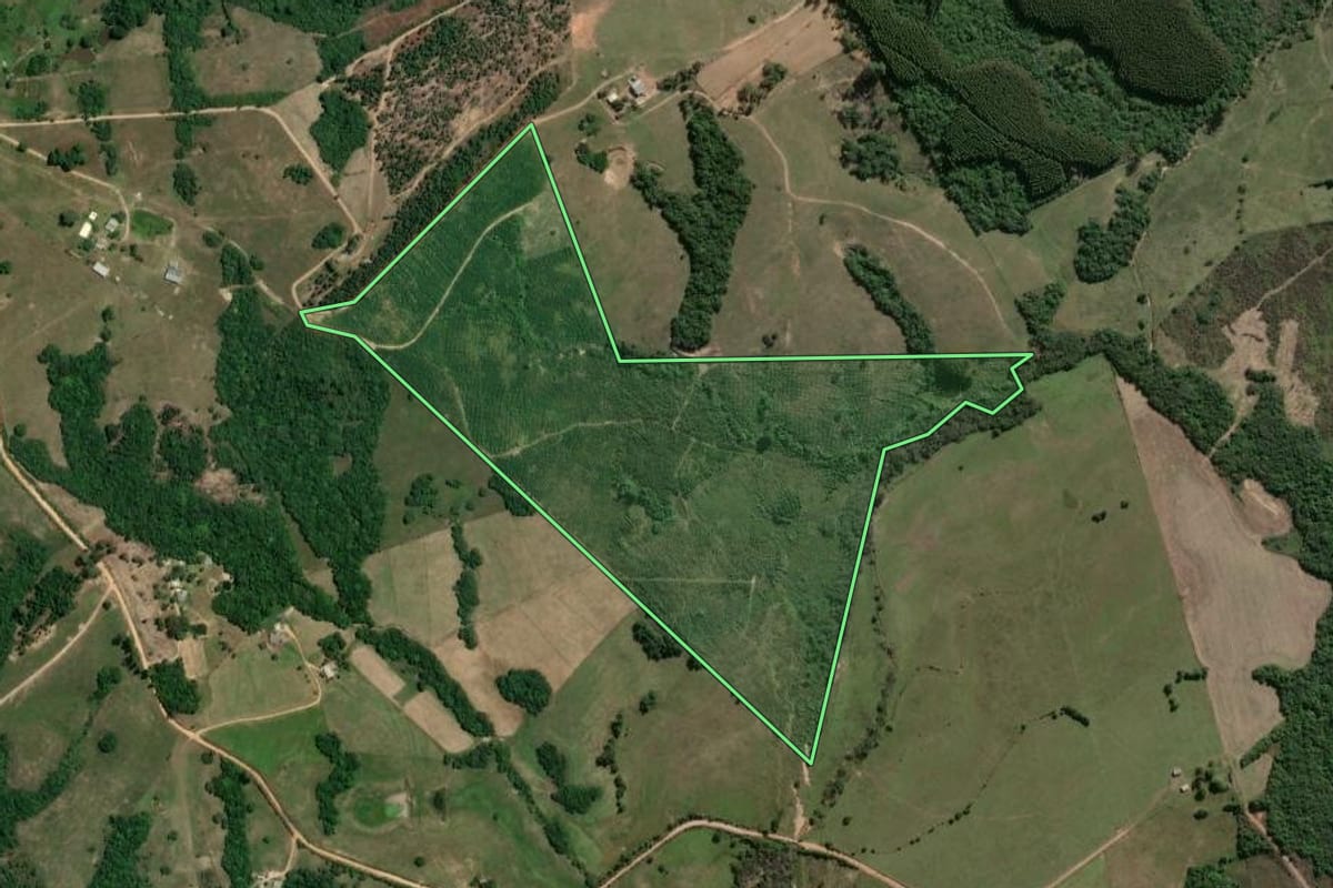 Imagem de satélite do imóvel rural em Butiá (RS), com o contorno declarado no CAR desenhado por cima.