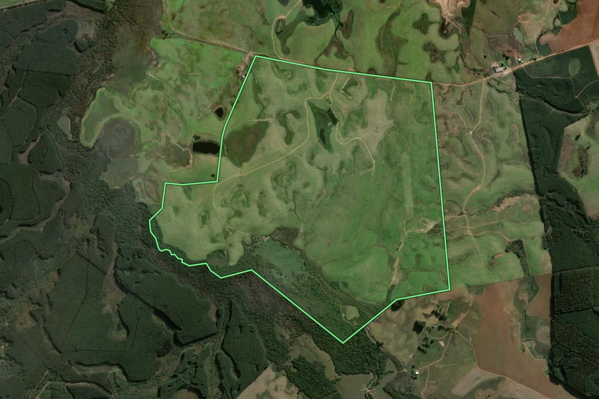 Imagem de satélite do imóvel rural em Butiá (RS), com o contorno declarado no CAR desenhado por cima.