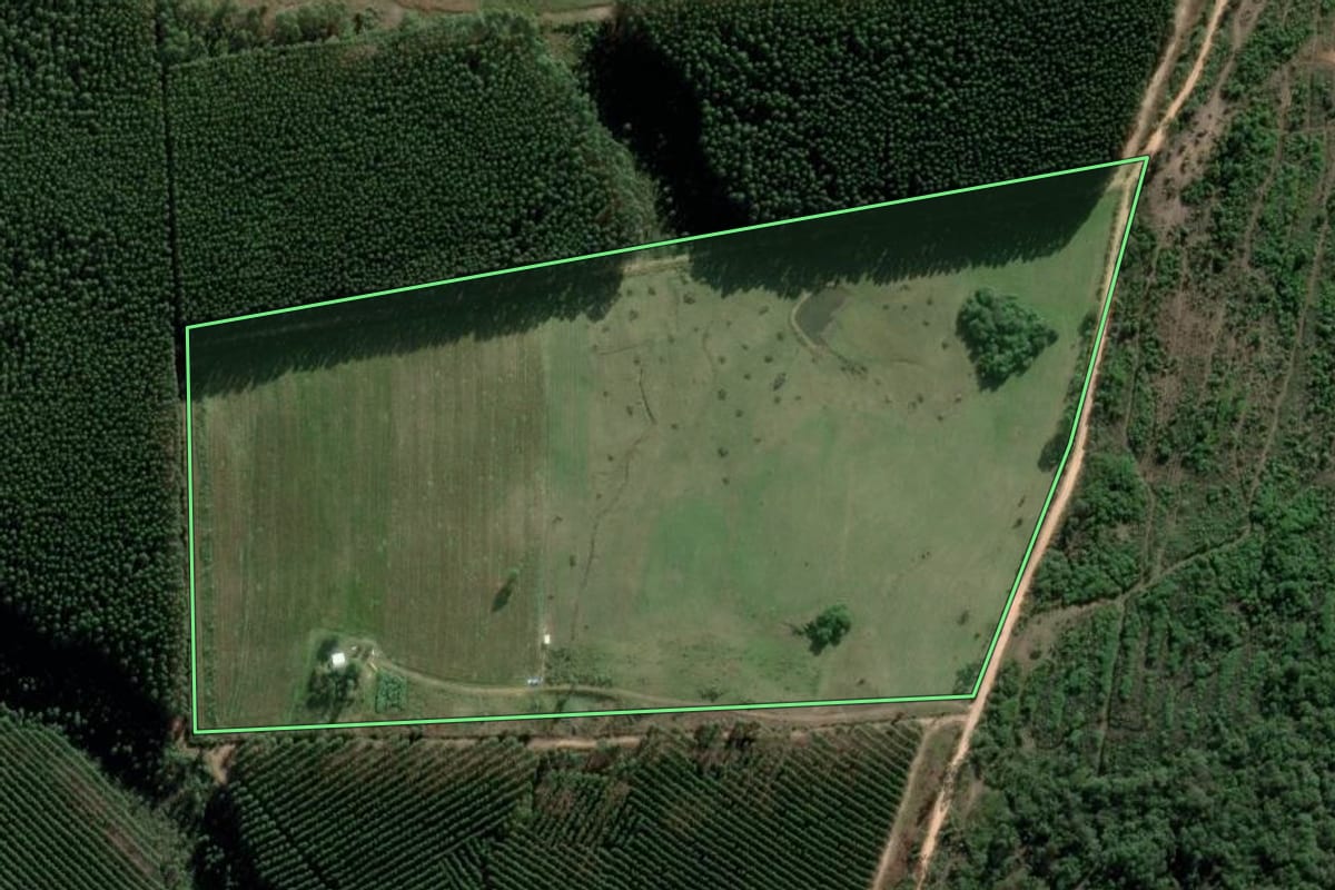 Imagem de satélite do imóvel rural em Butiá (RS), com o contorno declarado no CAR desenhado por cima.