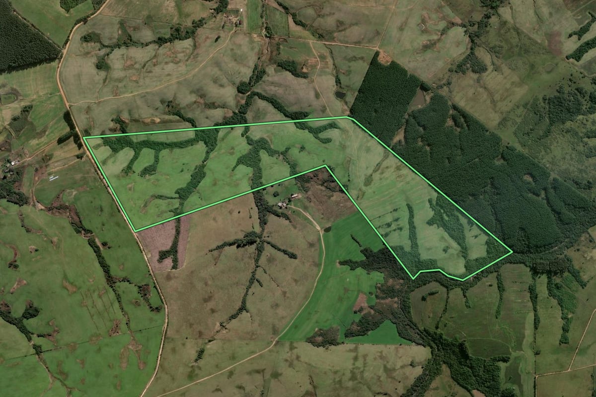Imagem de satélite do imóvel rural em Butiá (RS), com o contorno declarado no CAR desenhado por cima.