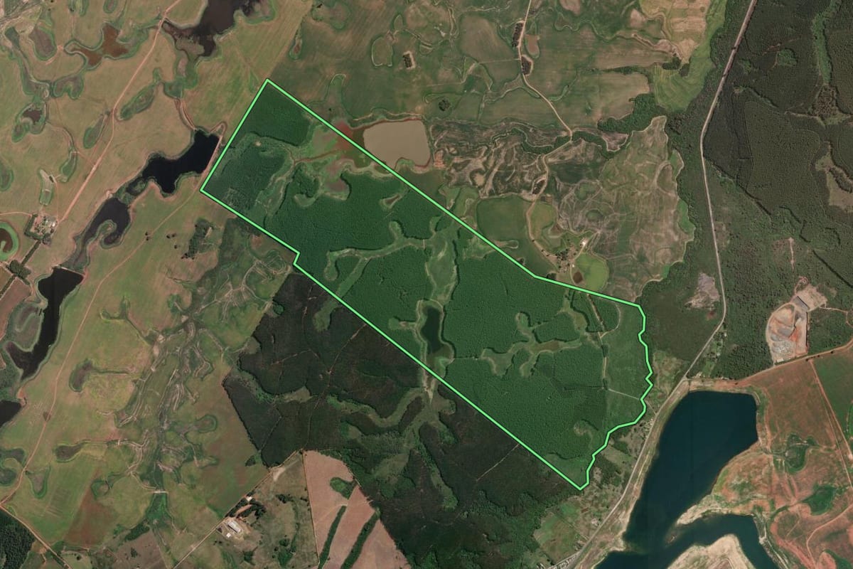 Imagem de satélite do imóvel rural em Butiá (RS), com o contorno declarado no CAR desenhado por cima.