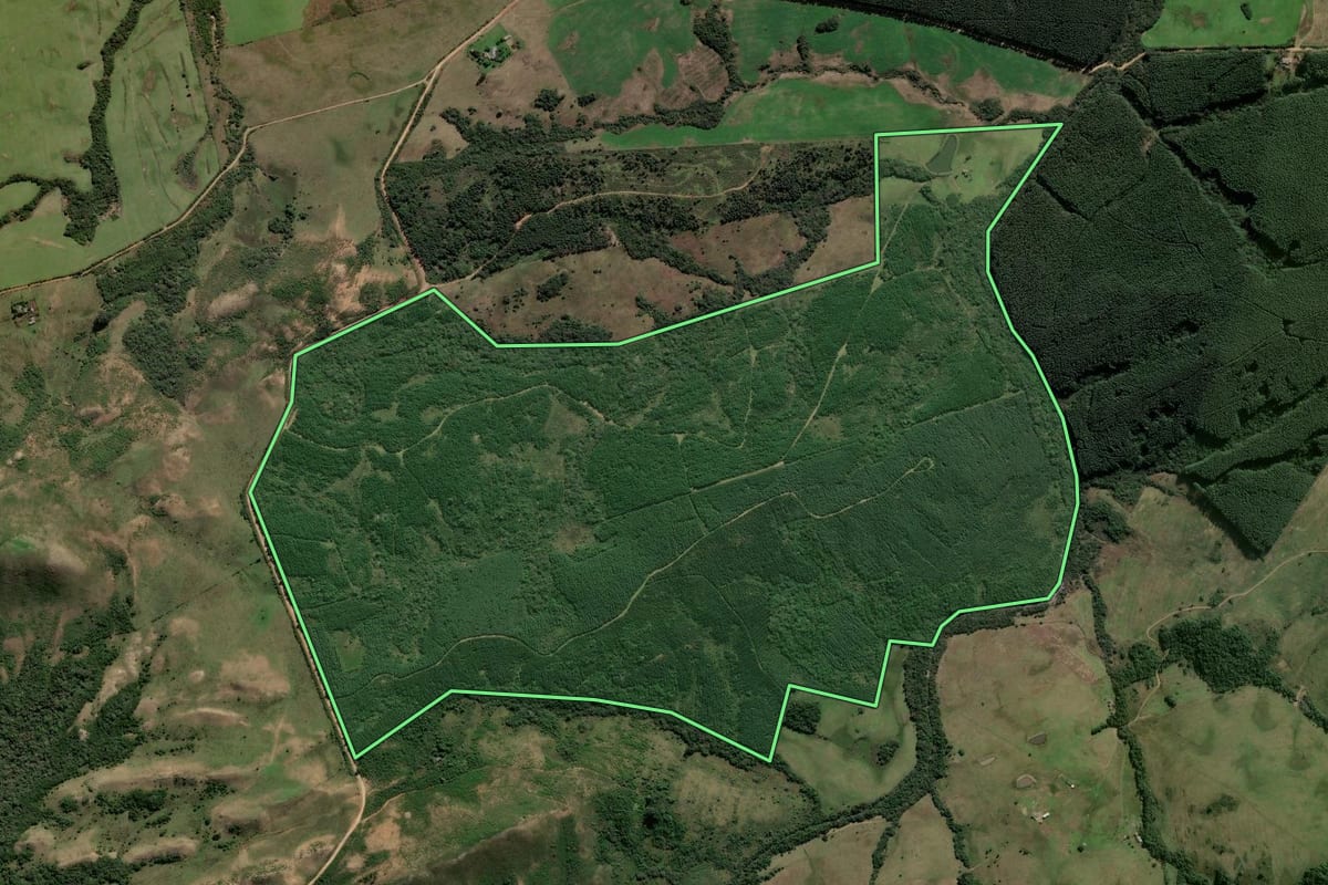 Imagem de satélite do imóvel rural em Butiá (RS), com o contorno declarado no CAR desenhado por cima.