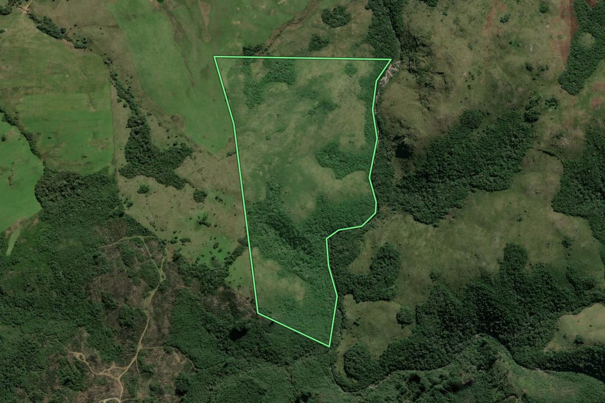 Imagem de satélite do imóvel rural em Butiá (RS), com o contorno declarado no CAR desenhado por cima.