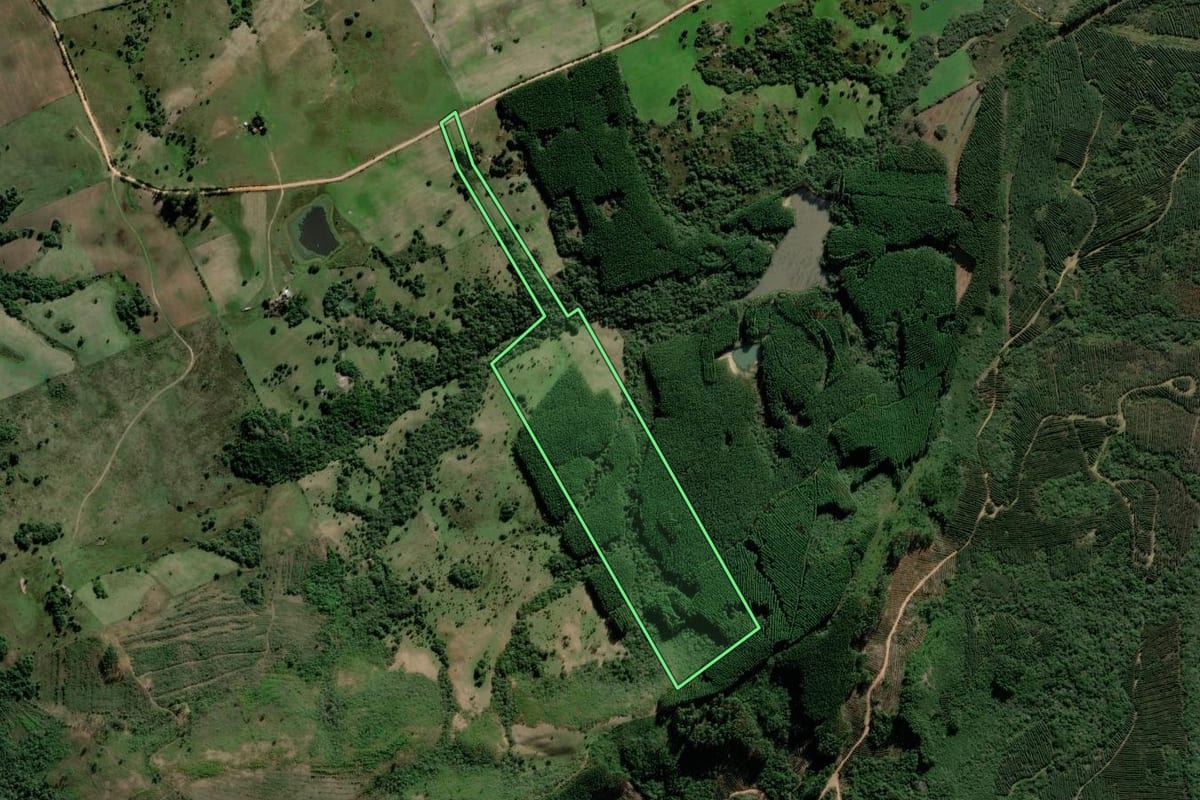 Imagem de satélite do imóvel rural em Butiá (RS), com o contorno declarado no CAR desenhado por cima.