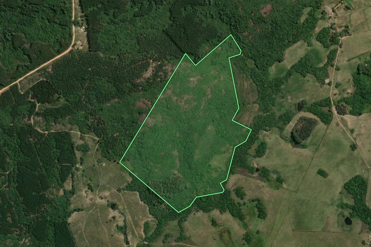 Imagem de satélite do imóvel rural em Butiá (RS), com o contorno declarado no CAR desenhado por cima.