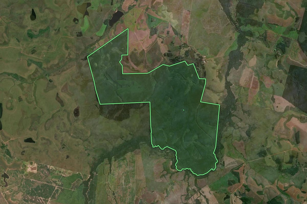 Imagem de satélite do imóvel rural em Butiá (RS), com o contorno declarado no CAR desenhado por cima.