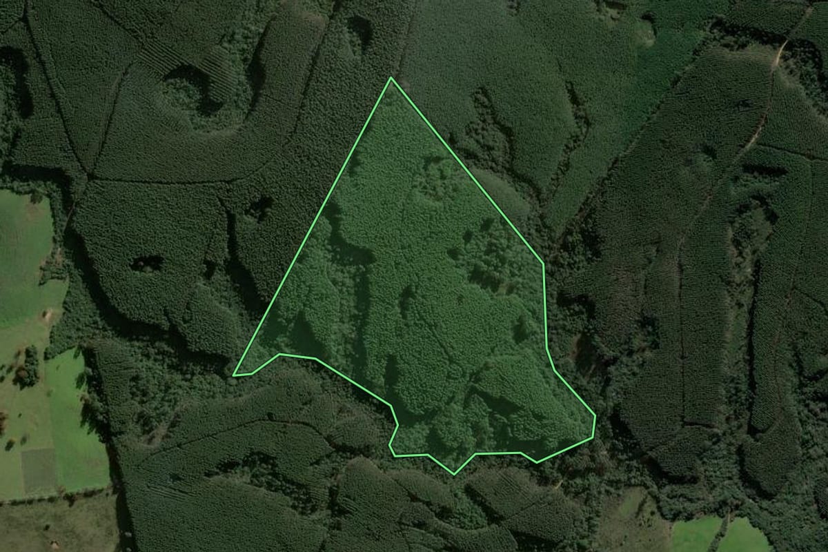 Imagem de satélite do imóvel rural em Butiá (RS), com o contorno declarado no CAR desenhado por cima.