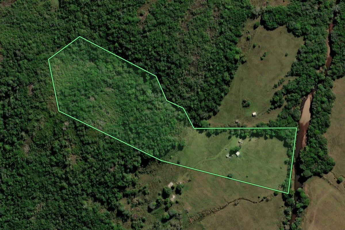 Imagem de satélite do imóvel rural em Caçapava do Sul (RS), com o contorno declarado no CAR desenhado por cima.