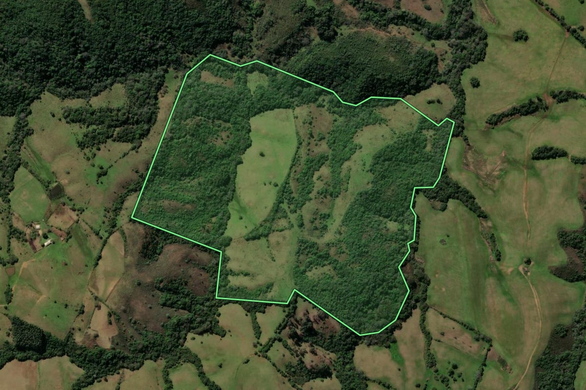 Imagem de satélite do imóvel rural em Caçapava do Sul (RS), com o contorno declarado no CAR desenhado por cima.