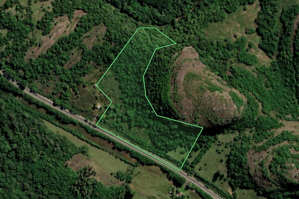 Imagem de satélite do imóvel rural em Caçapava do Sul (RS), com o contorno declarado no CAR desenhado por cima.