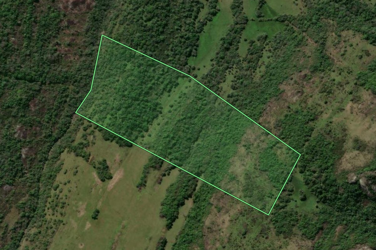 Imagem de satélite do imóvel rural em Caçapava do Sul (RS), com o contorno declarado no CAR desenhado por cima.