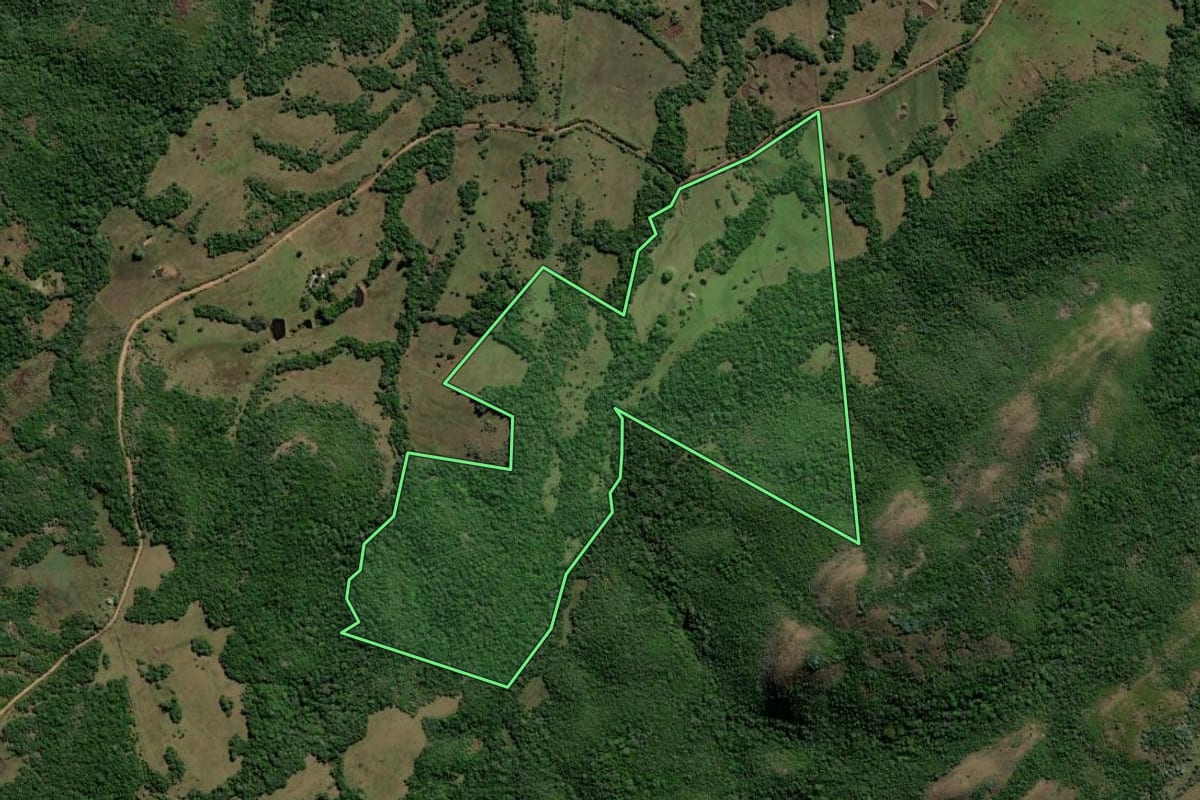 Imagem de satélite do imóvel rural em Caçapava do Sul (RS), com o contorno declarado no CAR desenhado por cima.