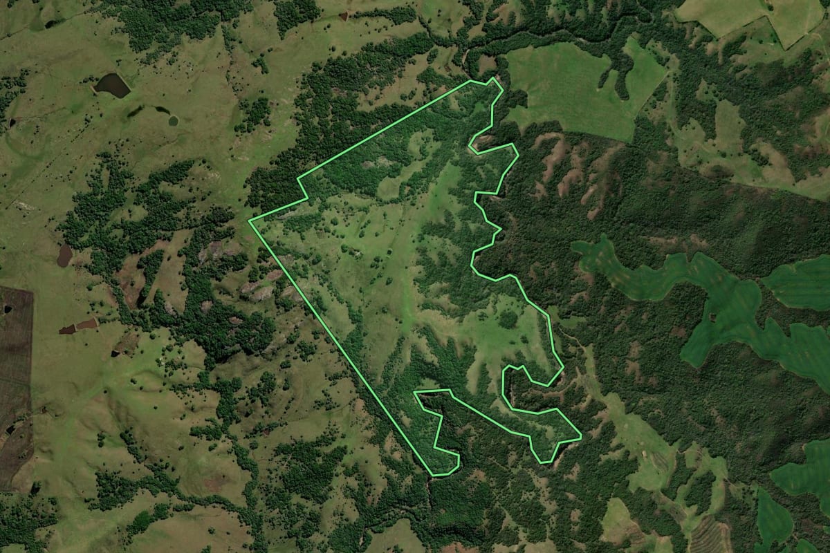 Imagem de satélite do imóvel rural em Caçapava do Sul (RS), com o contorno declarado no CAR desenhado por cima.