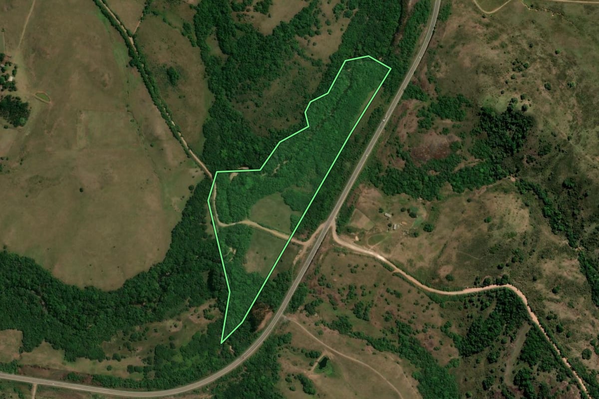 Imagem de satélite do imóvel rural em Caçapava do Sul (RS), com o contorno declarado no CAR desenhado por cima.