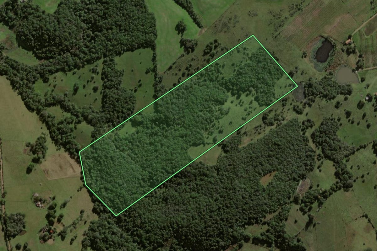 Imagem de satélite do imóvel rural em Caçapava do Sul (RS), com o contorno declarado no CAR desenhado por cima.