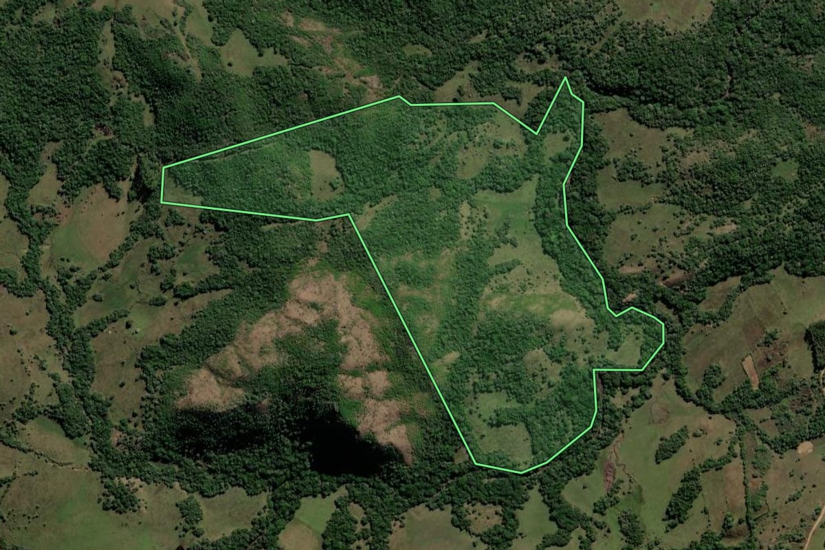Imagem de satélite do imóvel rural em Caçapava do Sul (RS), com o contorno declarado no CAR desenhado por cima.