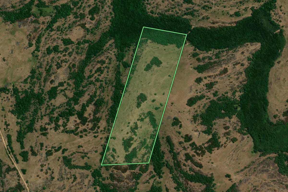 Imagem de satélite do imóvel rural em Caçapava do Sul (RS), com o contorno declarado no CAR desenhado por cima.