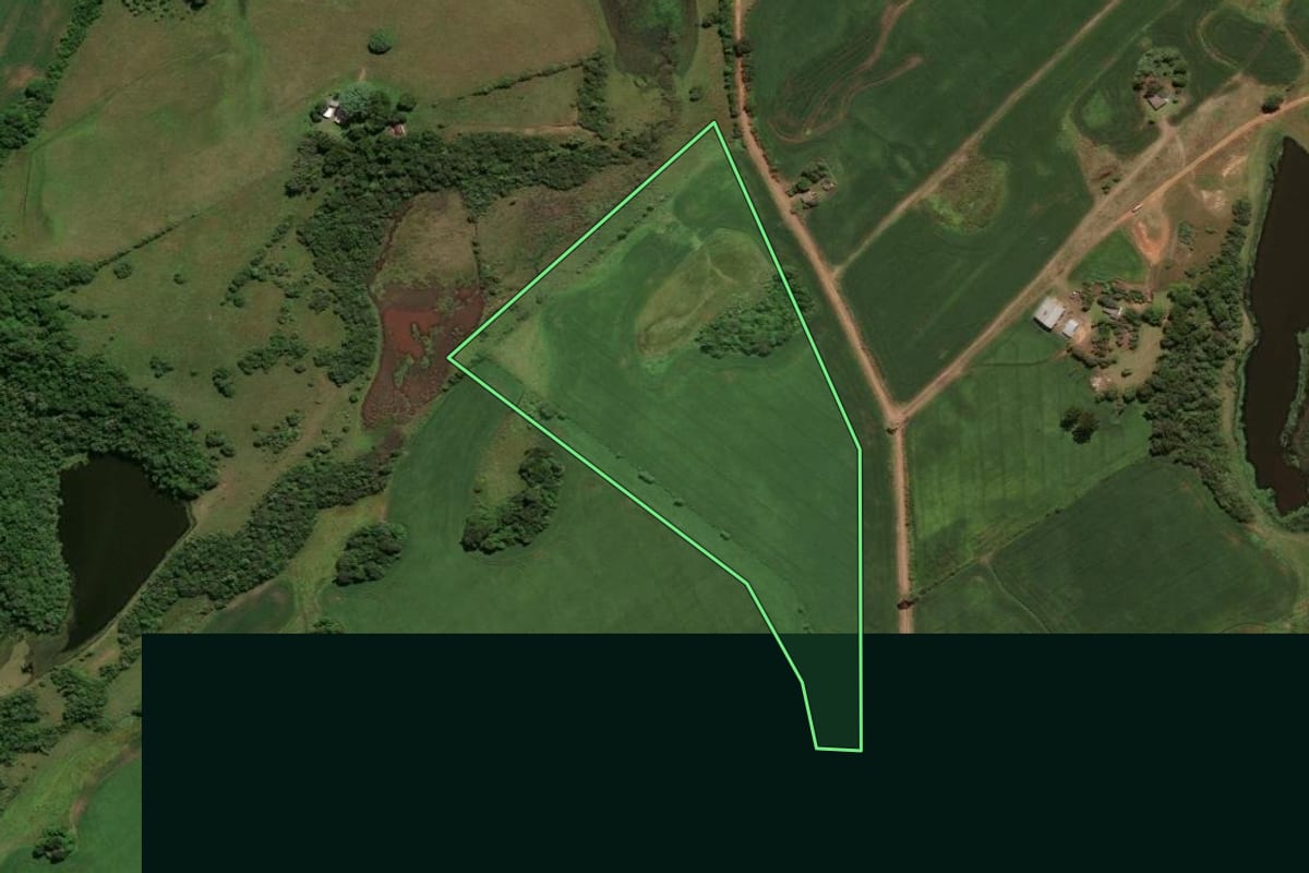 Imagem de satélite do imóvel rural em Caçapava do Sul (RS), com o contorno declarado no CAR desenhado por cima.