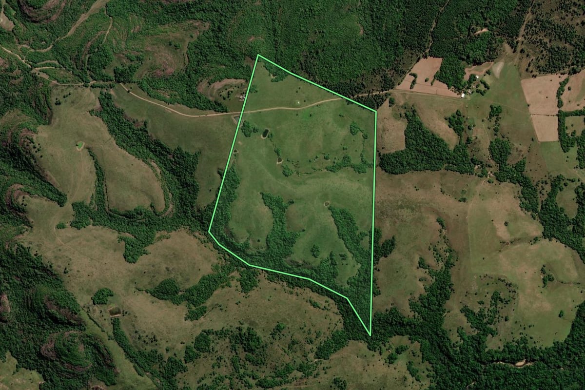 Imagem de satélite do imóvel rural em Caçapava do Sul (RS), com o contorno declarado no CAR desenhado por cima.