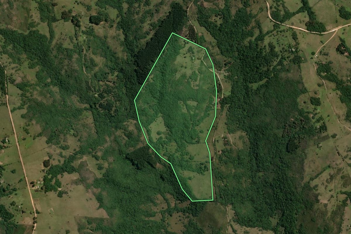 Imagem de satélite do imóvel rural em Caçapava do Sul (RS), com o contorno declarado no CAR desenhado por cima.