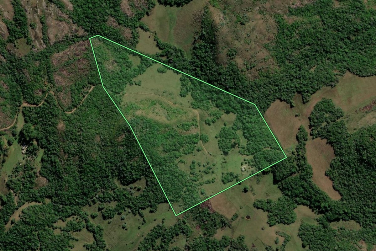 Imagem de satélite do imóvel rural em Caçapava do Sul (RS), com o contorno declarado no CAR desenhado por cima.
