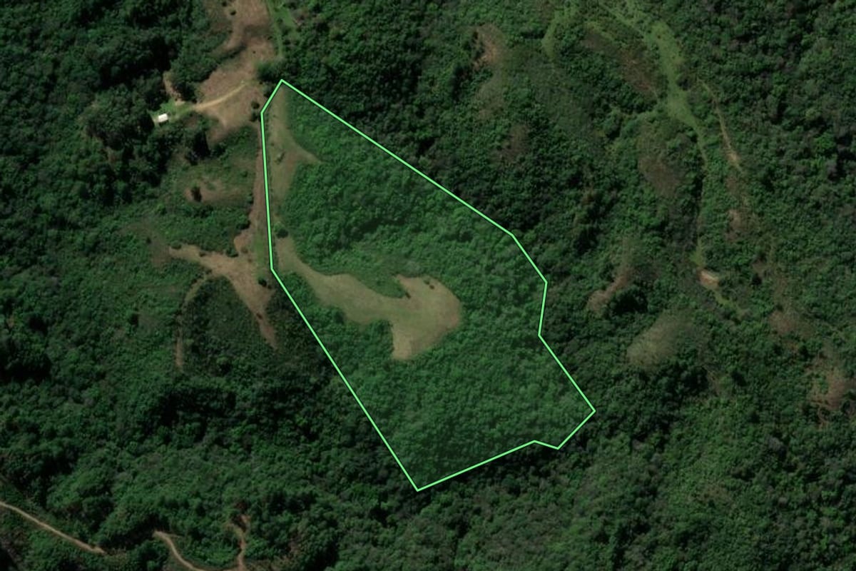 Imagem de satélite do imóvel rural em Caçapava do Sul (RS), com o contorno declarado no CAR desenhado por cima.