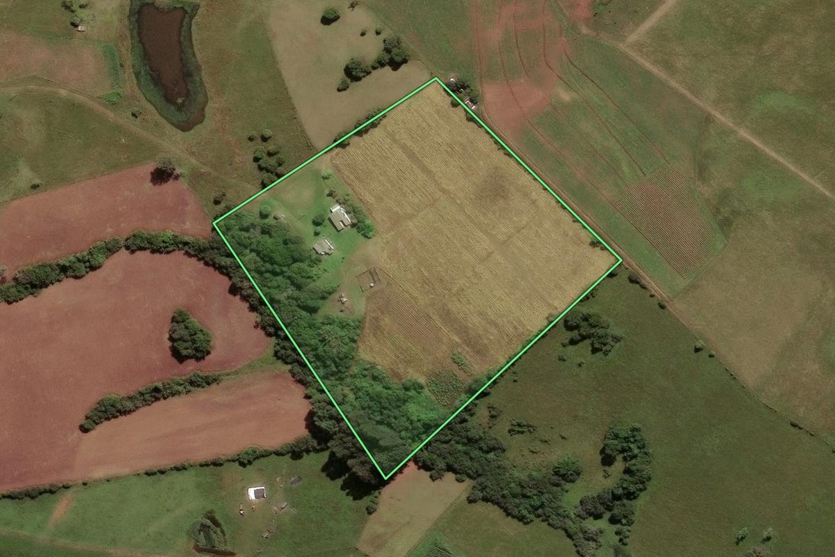 Imagem de satélite do imóvel rural em Caçapava do Sul (RS), com o contorno declarado no CAR desenhado por cima.
