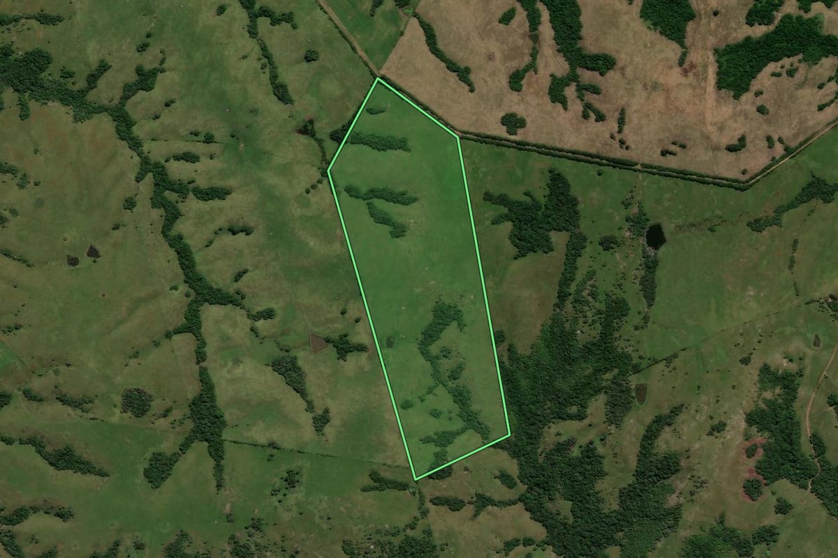 Imagem de satélite do imóvel rural em Caçapava do Sul (RS), com o contorno declarado no CAR desenhado por cima.