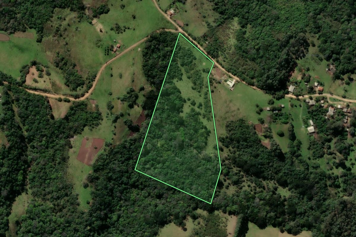 Imagem de satélite do imóvel rural em Caçapava do Sul (RS), com o contorno declarado no CAR desenhado por cima.