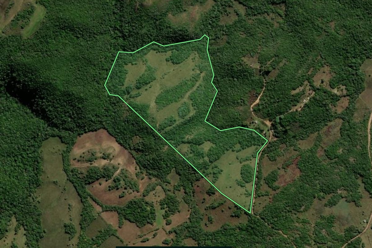 Imagem de satélite do imóvel rural em Caçapava do Sul (RS), com o contorno declarado no CAR desenhado por cima.