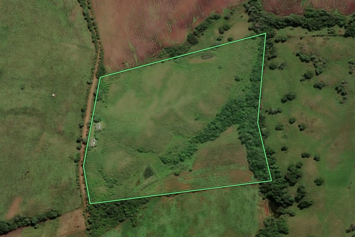 Imagem de satélite do imóvel rural em Caçapava do Sul (RS), com o contorno declarado no CAR desenhado por cima.