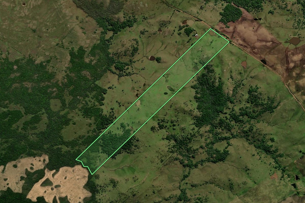 Imagem de satélite do imóvel rural em Caçapava do Sul (RS), com o contorno declarado no CAR desenhado por cima.