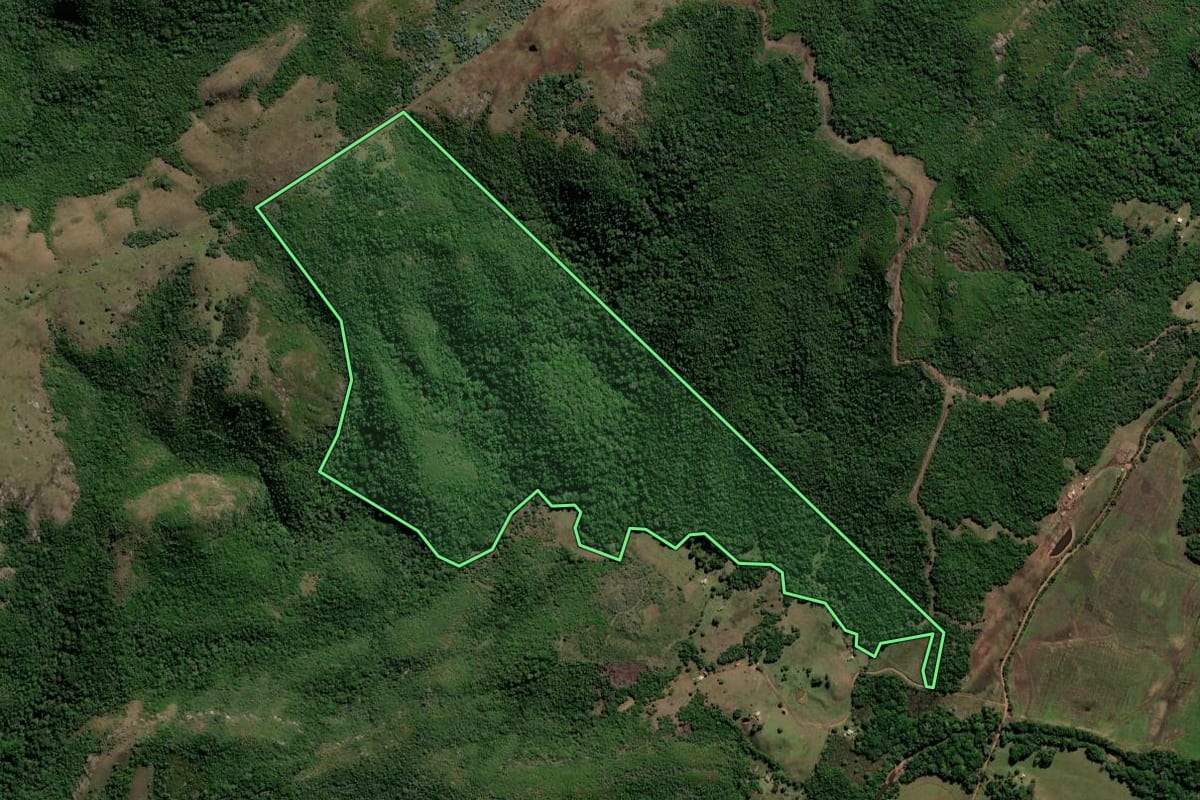 Imagem de satélite do imóvel rural em Caçapava do Sul (RS), com o contorno declarado no CAR desenhado por cima.