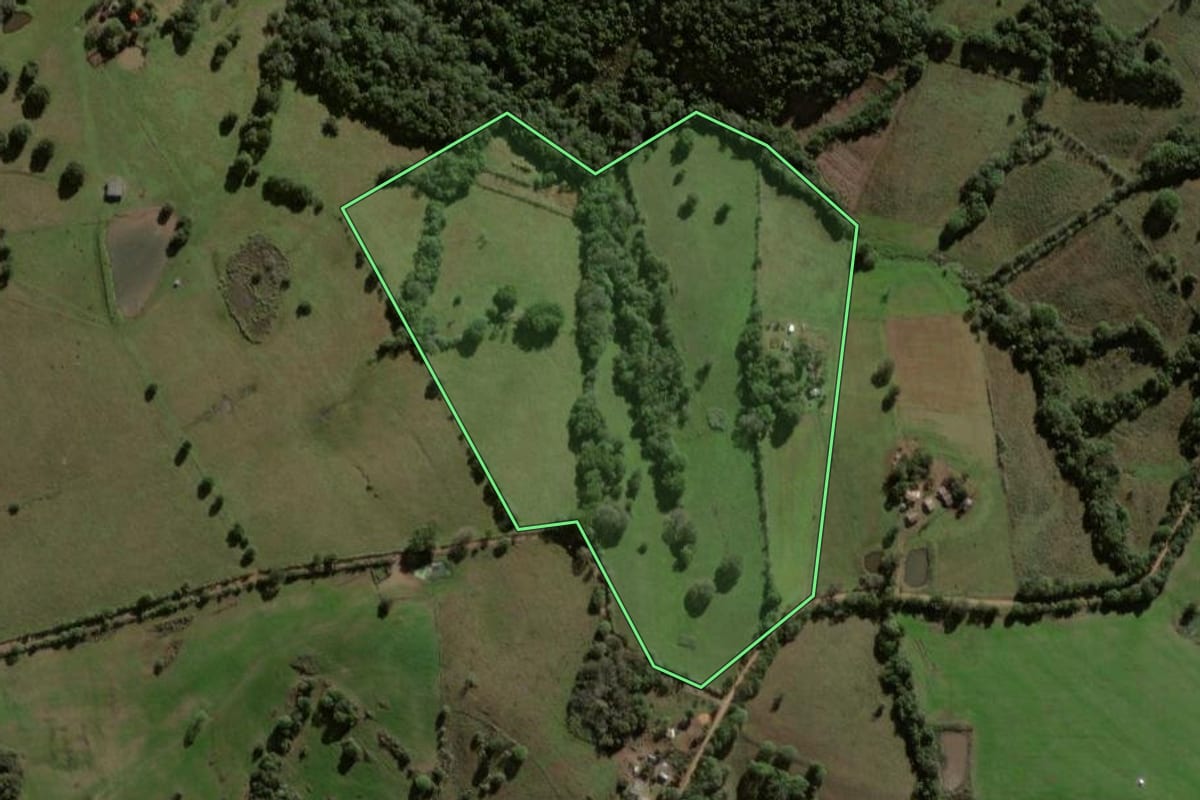 Imagem de satélite do imóvel rural em Caçapava do Sul (RS), com o contorno declarado no CAR desenhado por cima.