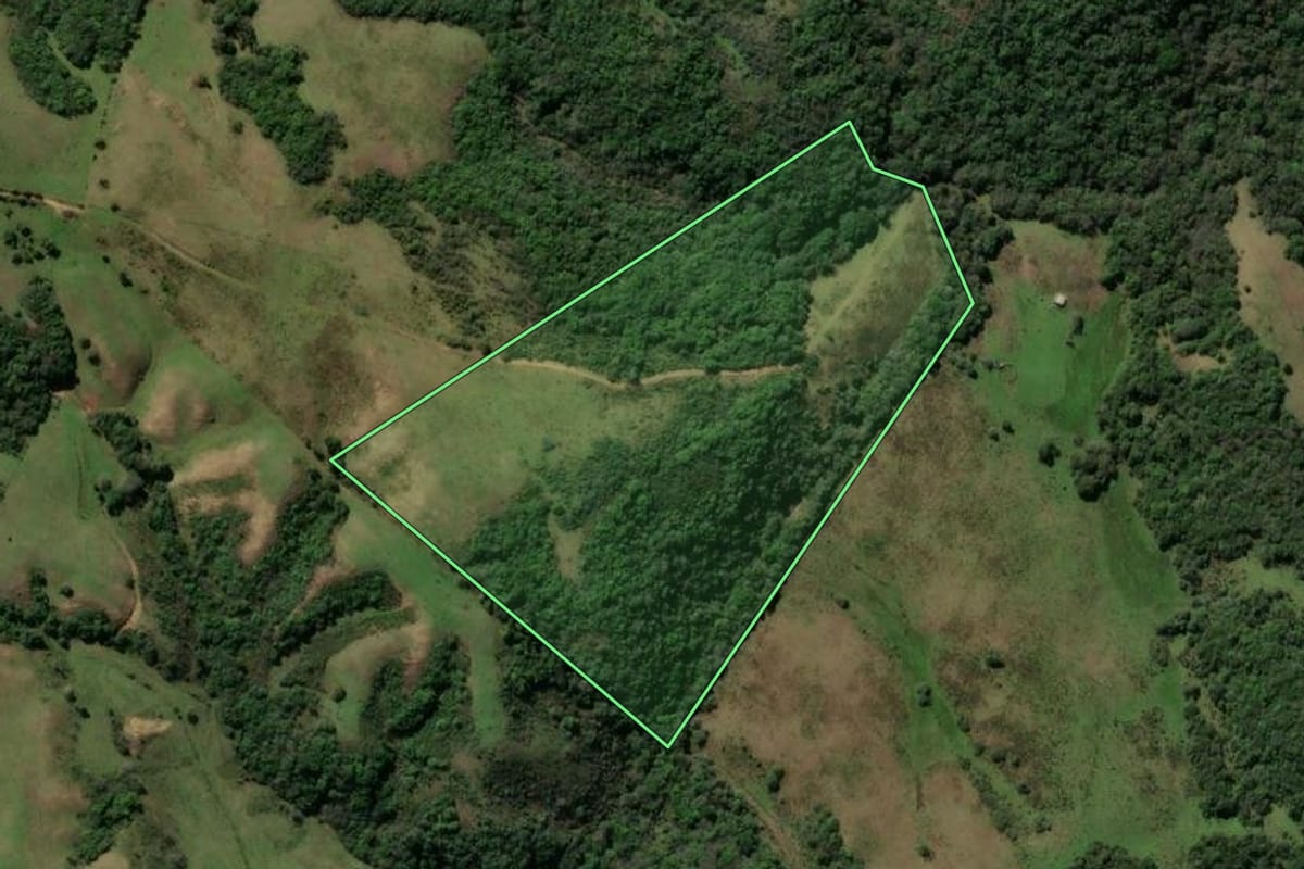Imagem de satélite do imóvel rural em Caçapava do Sul (RS), com o contorno declarado no CAR desenhado por cima.