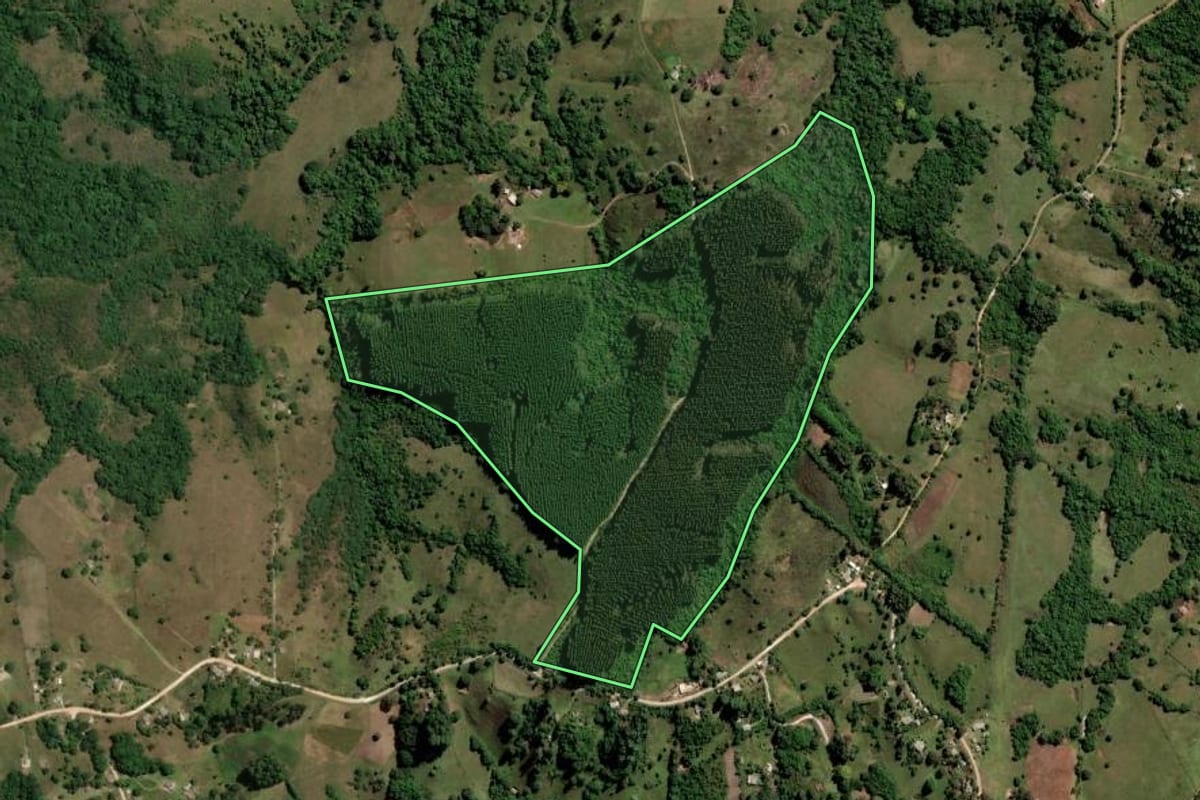 Imagem de satélite do imóvel rural em Caçapava do Sul (RS), com o contorno declarado no CAR desenhado por cima.
