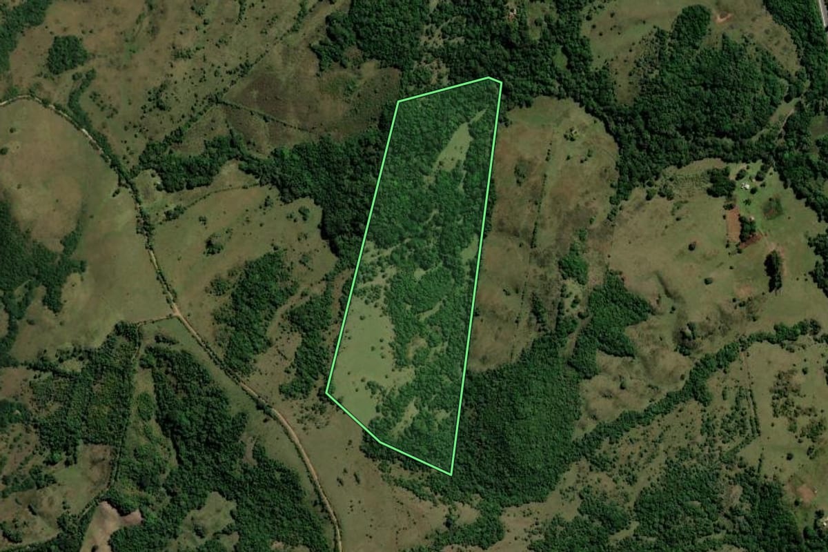 Imagem de satélite do imóvel rural em Caçapava do Sul (RS), com o contorno declarado no CAR desenhado por cima.