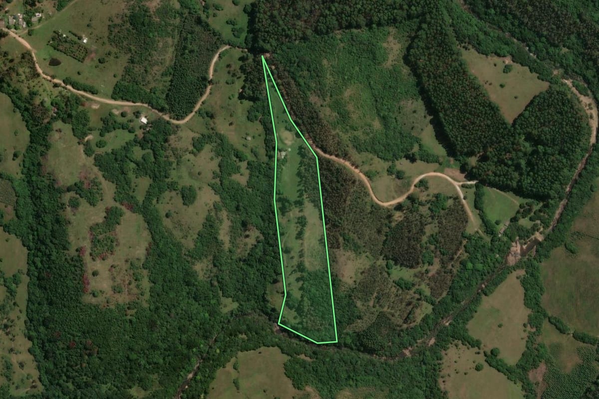 Imagem de satélite do imóvel rural em Caçapava do Sul (RS), com o contorno declarado no CAR desenhado por cima.