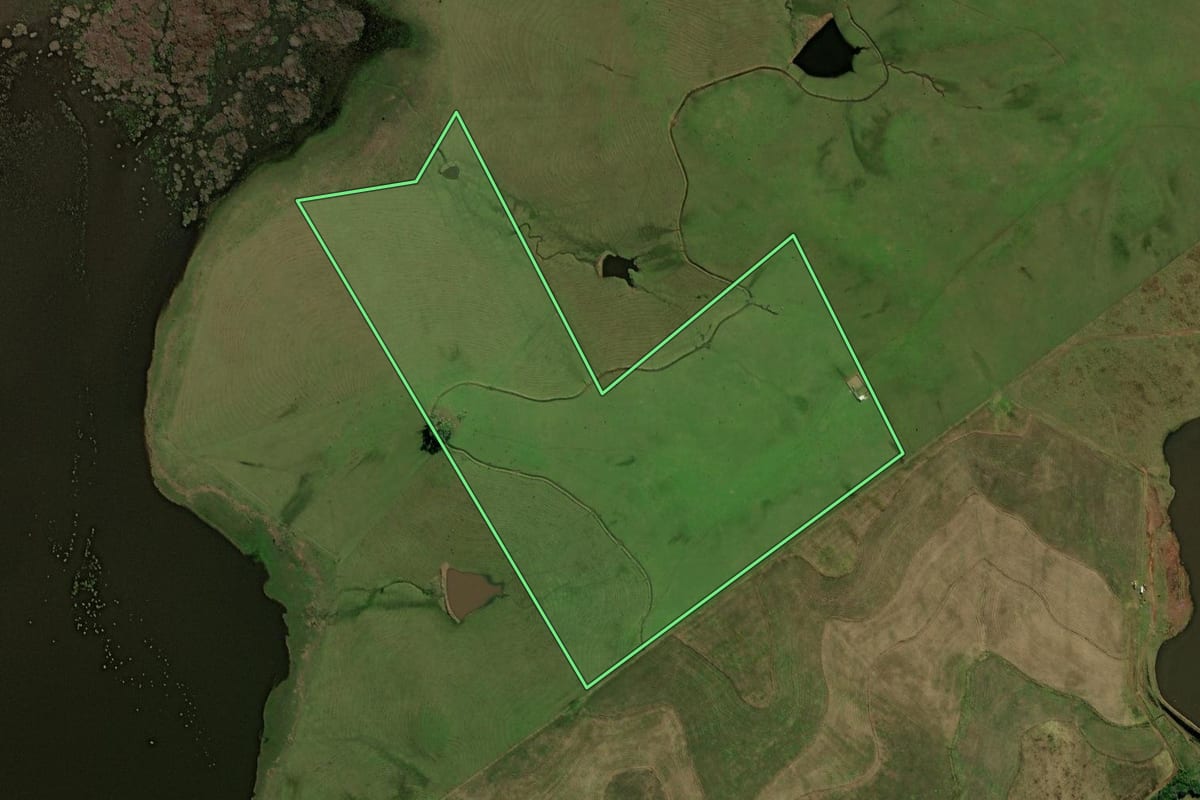 Imagem de satélite do imóvel rural em Caçapava do Sul (RS), com o contorno declarado no CAR desenhado por cima.