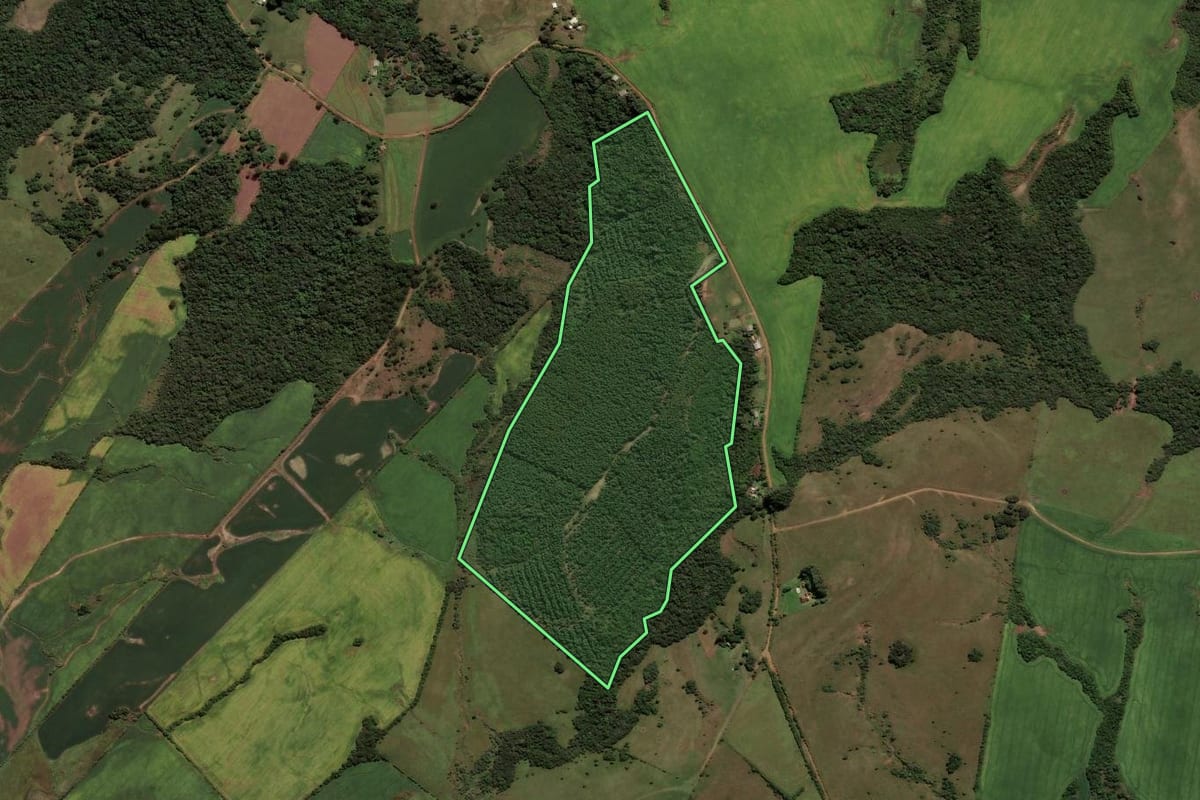Imagem de satélite do imóvel rural em Caçapava do Sul (RS), com o contorno declarado no CAR desenhado por cima.